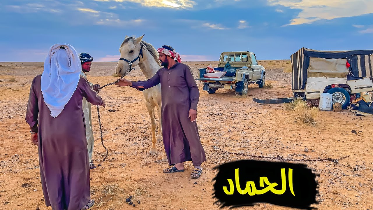 سلسلة الصحراء_عند سعود بالحماد والامطار👌