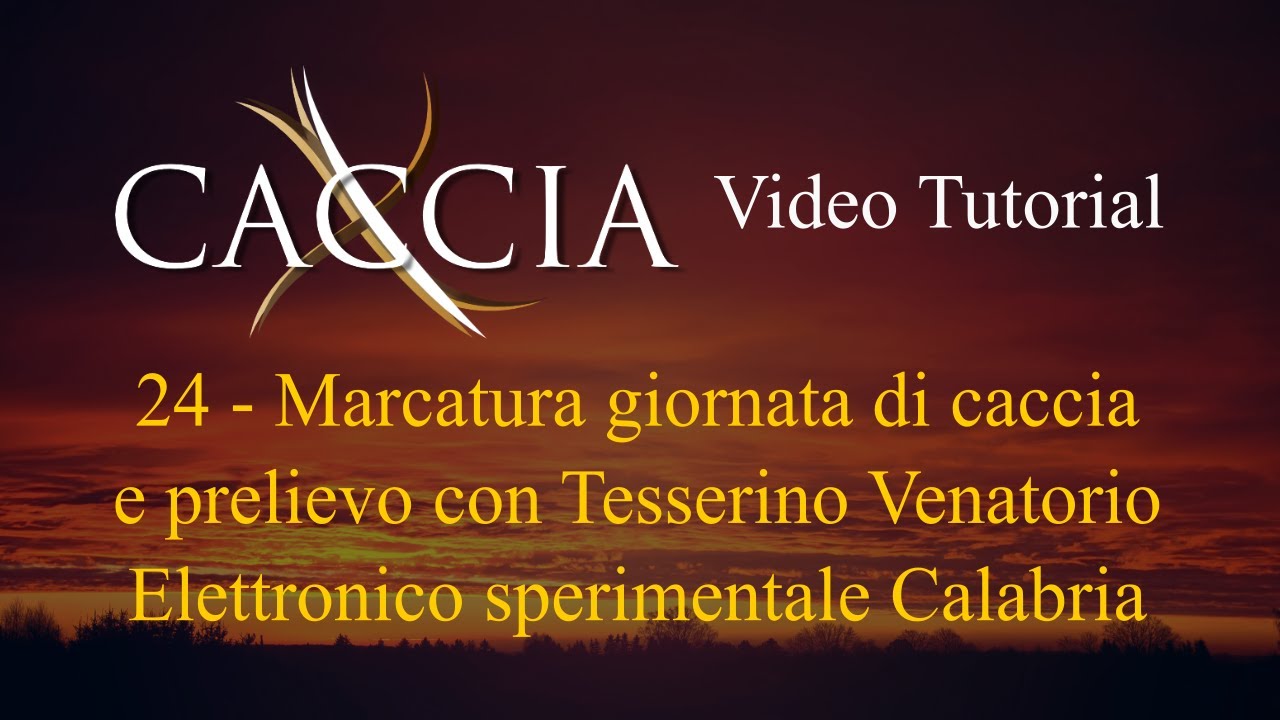 XCaccia - Marcatura giornata di caccia e prelievo - Tesserino Ven. Elettronico sperimentale Calabria