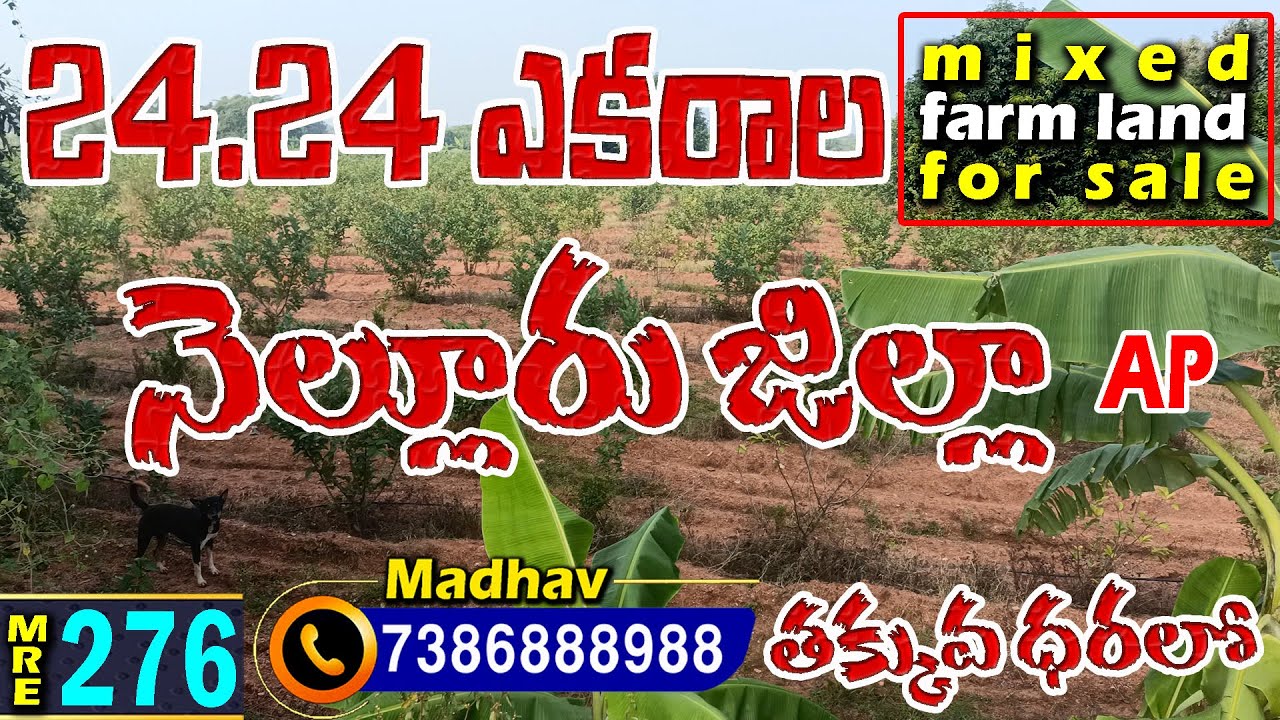 24.24 Acres Mixed Farm Land for sale in the Best Price | Vinjamur -Nellore Dt | 7386888988 |#MRE-276