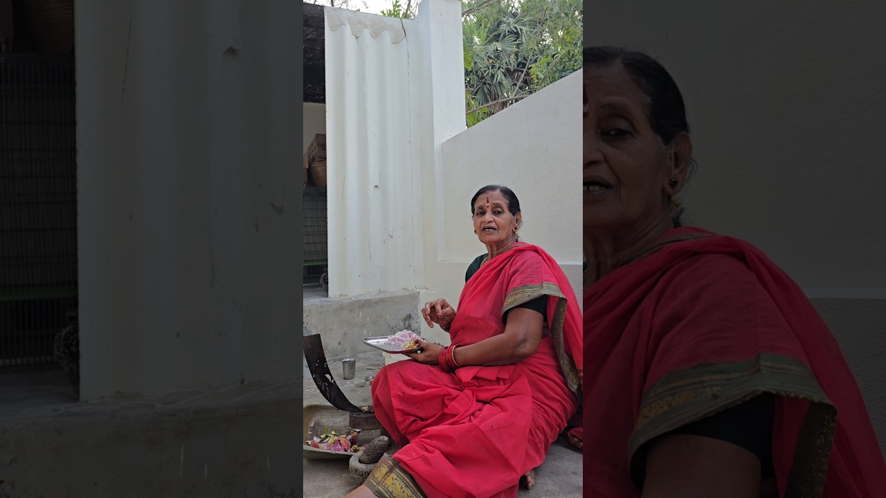 Ammamma tatayya godavalu padara ?