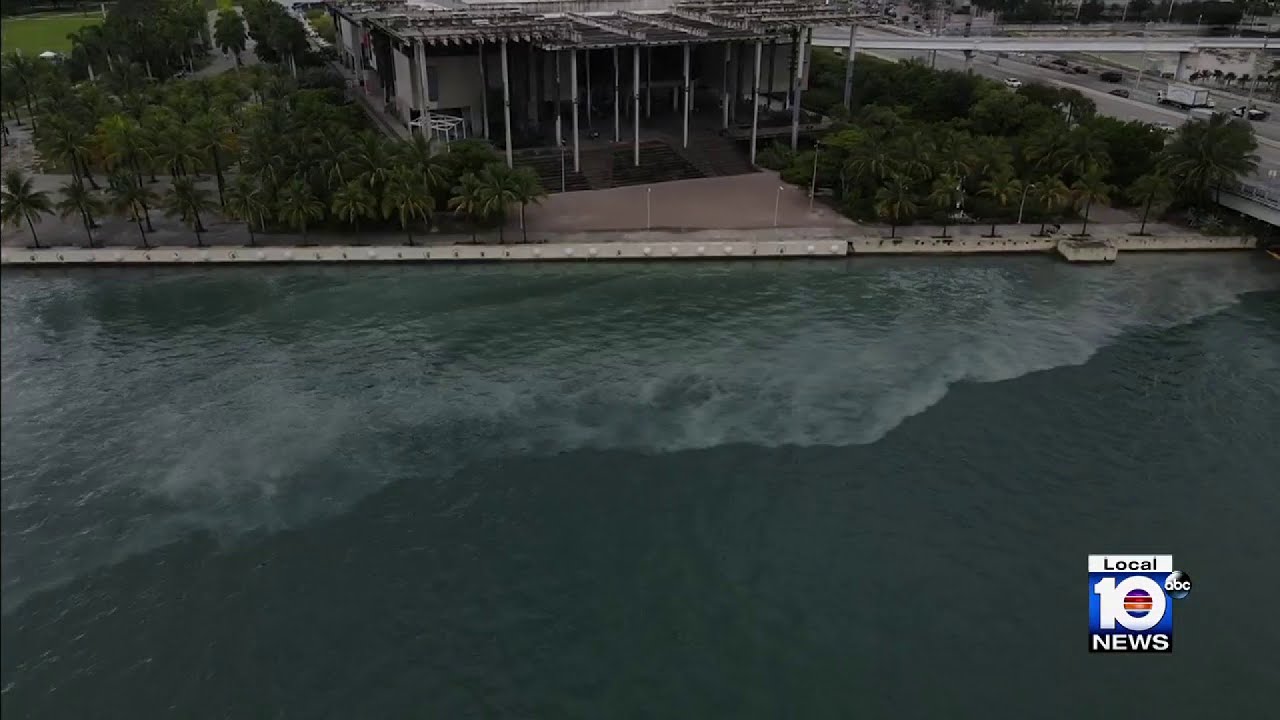 Miami-Dade County to begin imposing steeper fines for polluting bodies of water