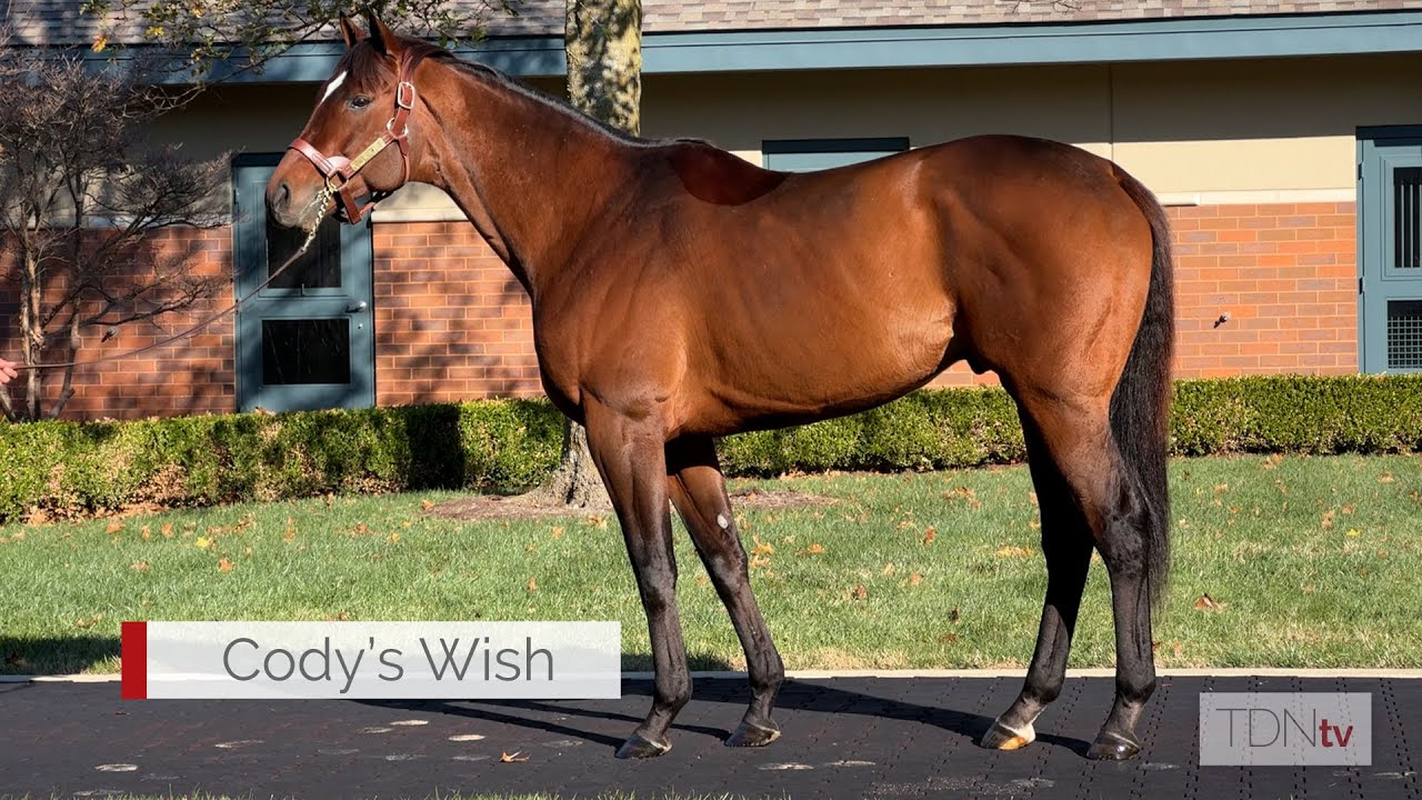 Cody’s Wish и Proxy пополнили состав жеребцов Darley Stallion.