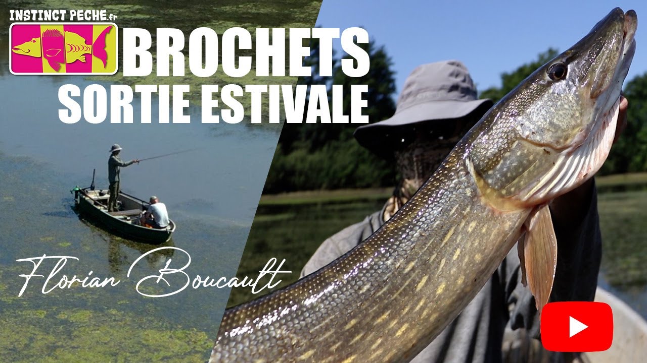 BROCHETS SORTIE ESTIVALE