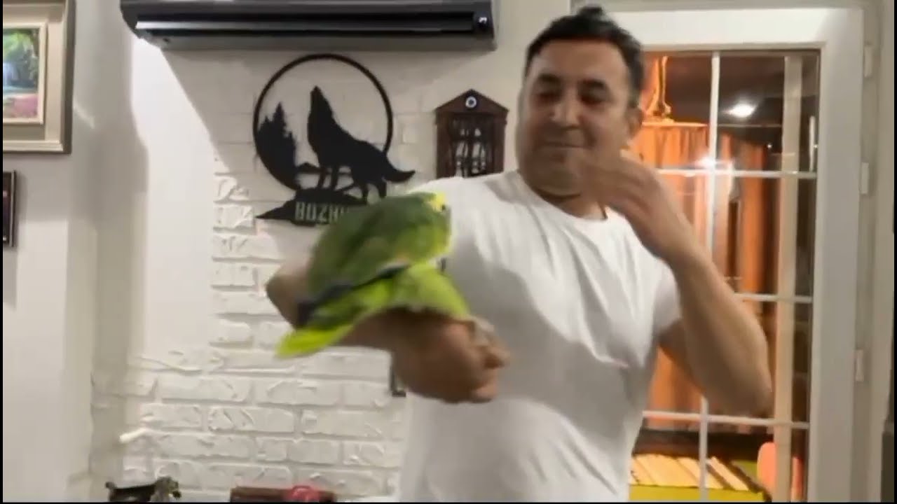 Havuz temizliği nasıl yapılır ? Besleyici köpek maması tarifi. Hepsi burada.. #kesfet 