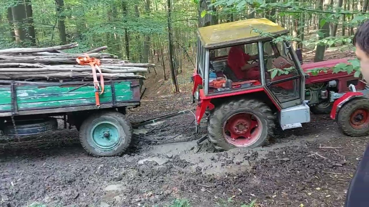 Zetor 6911 v lese