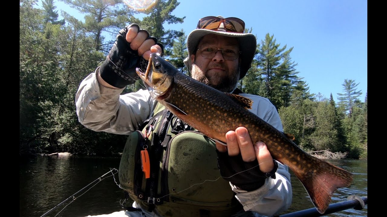 July 2021 Cedar Crow River loop in Algonquin