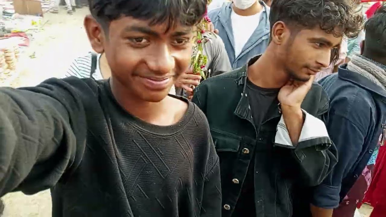 Public reaction 