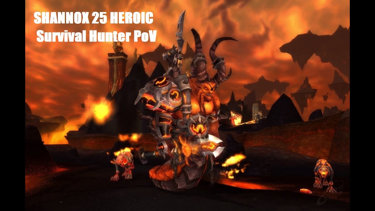 Shannox Heroic 25m | Firelands | Survival Hunter PoV
