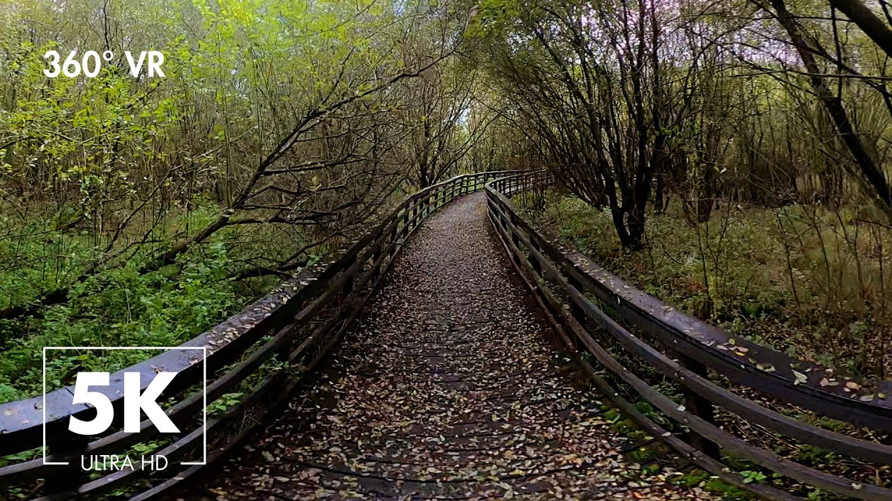 Relaxing Virtual Walk In Glastonbury UK with Nature And Bird Sounds - 360&deg; VR 5K Ultra HD Relaxation