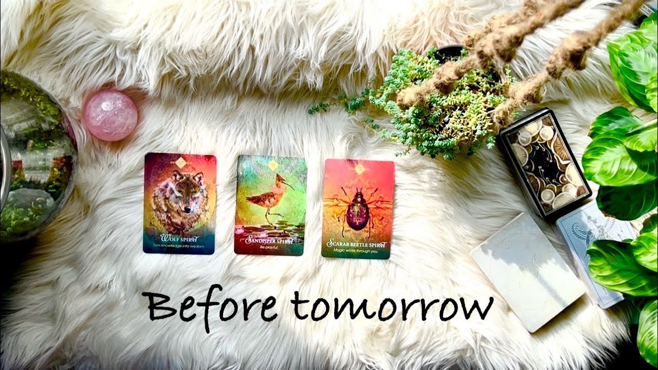 What you need to hear now🐺🪲🐦‍⬛PICK A CARD READING🔮