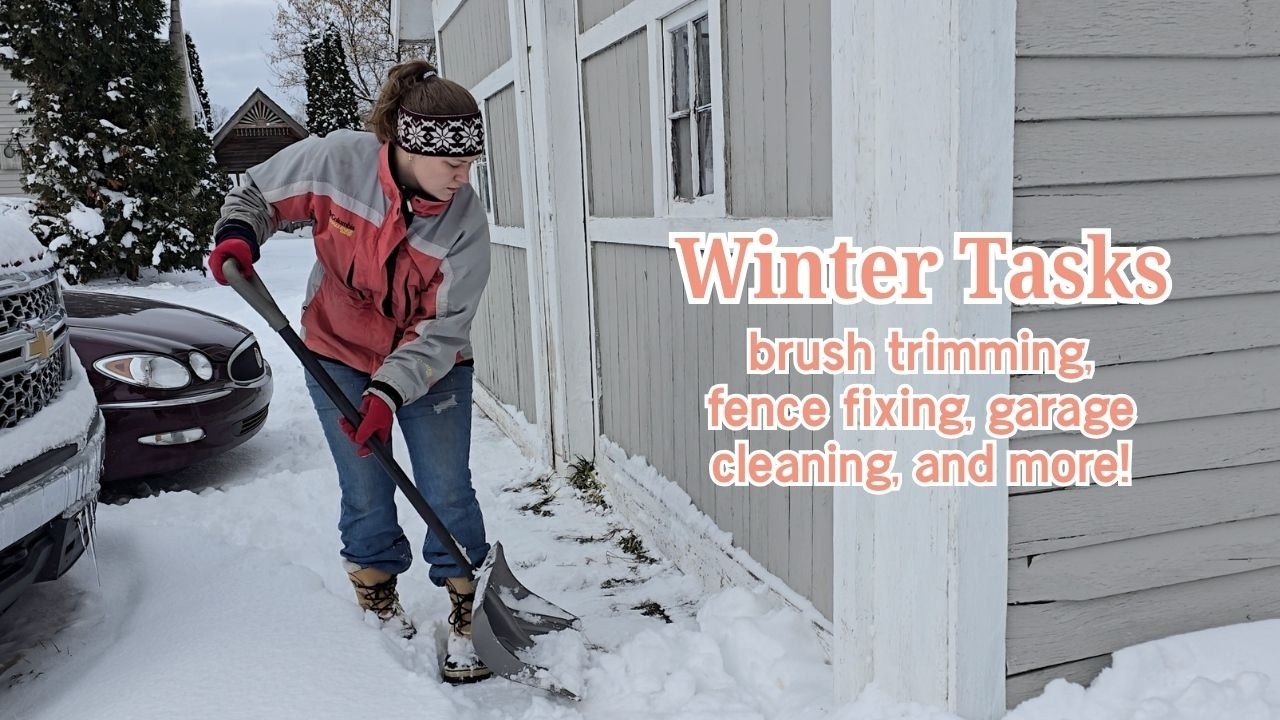 winter at the farm | let's do some odd chores