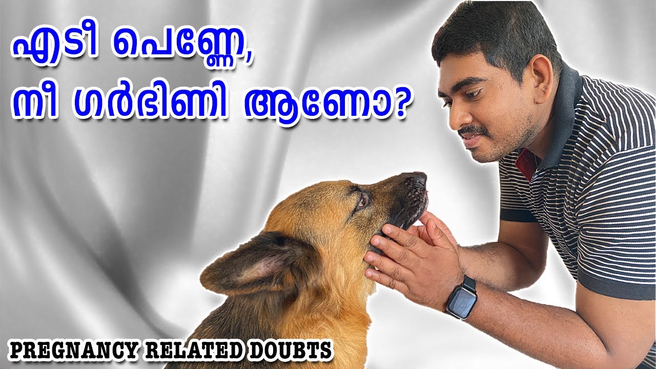TESSA, നീ ഗർഭിണി ആണോ? pregnancy care : After mating precautions : 1st scanning : chat with doctor