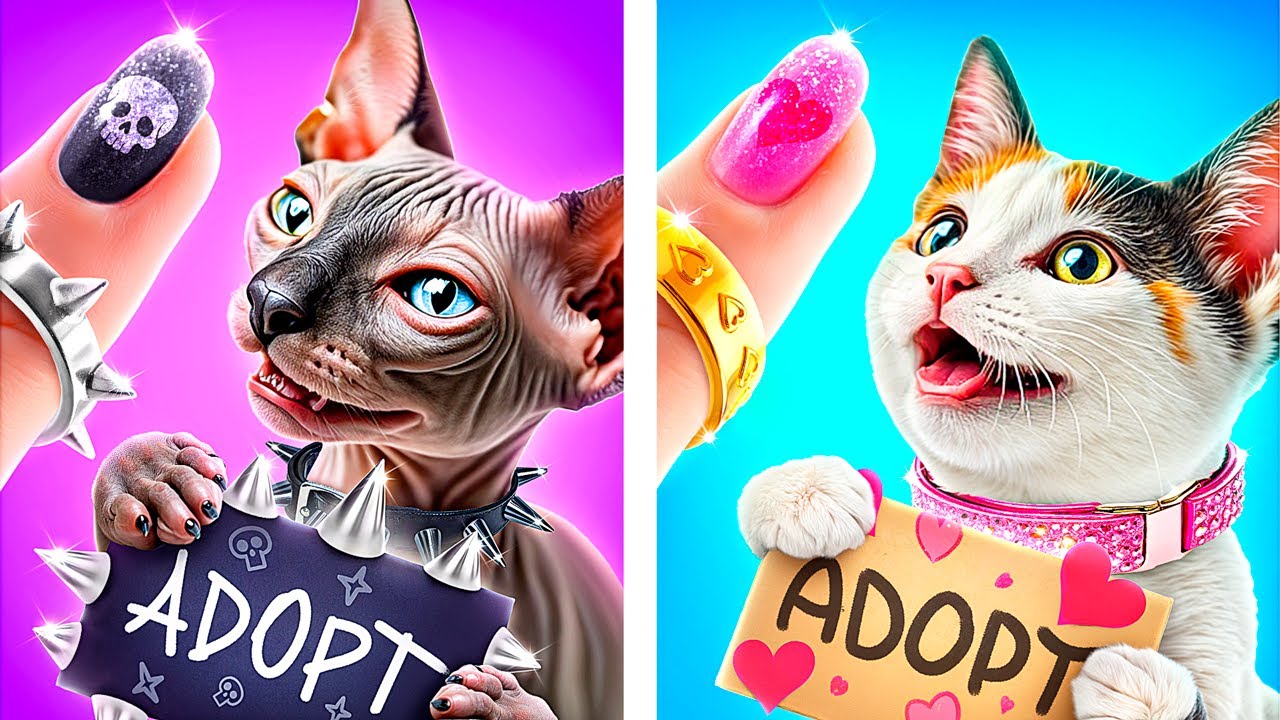 ¡Gatos del Bien vs el Mal! Cómo Hacer Casas para Mascotas