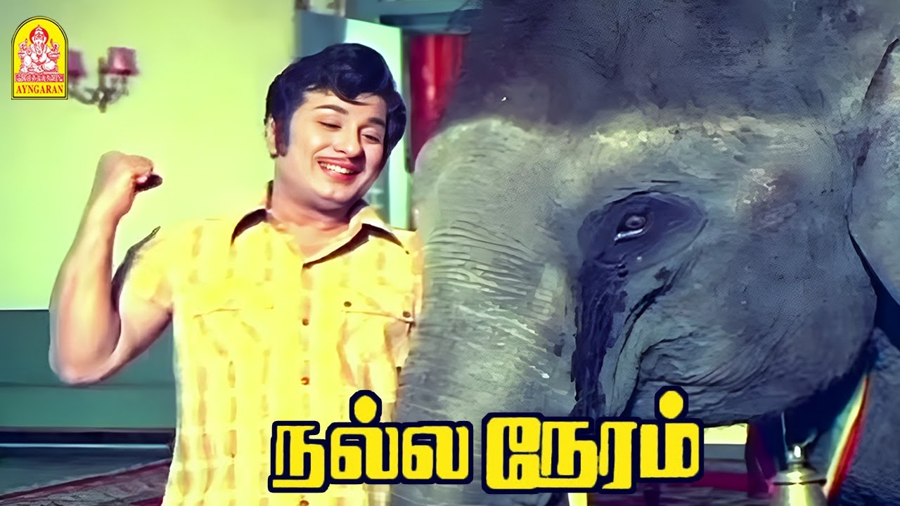 ' உன் தும்பிக்கையும் என் நம்பிக்கையும் இருக்குற வரைக்கும் எனக்கு தோல்வியே இல்ல '! | Nalla Neram HD