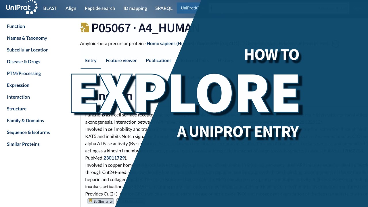 How to explore a UniProt entry