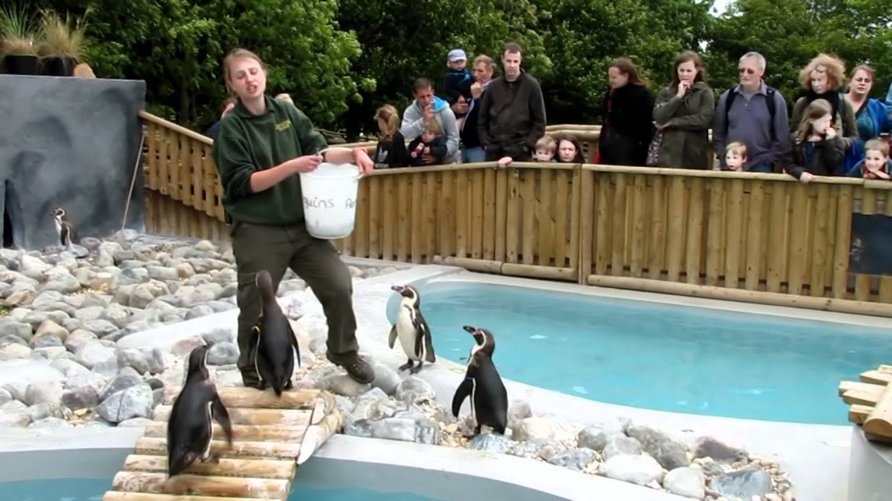 A Family Day Out to Wingham Wildlife Park in the UK