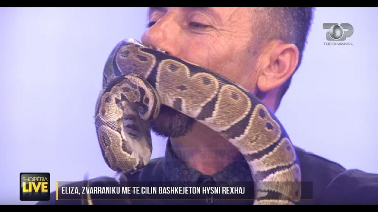 Gjarpri, p&euml;r pak mbyt t&euml; zotin n&euml; studio live - Shqip&euml;ria Live, 10 Shkurt 2020
