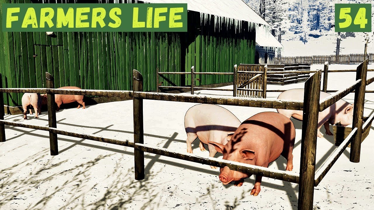 Farmer's Life  - СВИНЬИ ВЫРОСЛИ.  ПОПАЛОСЬ СЕМЬ ОЛЕНЕЙ.  ПЕРЕКРАСИЛ КРЫШУ # 54