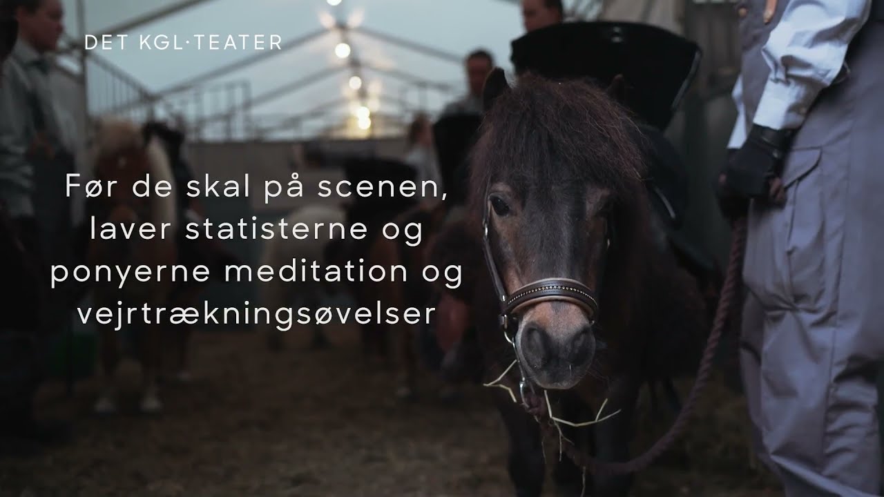Hobbittens firbenede stjerner: Hvad skal en pony med ørepropper?