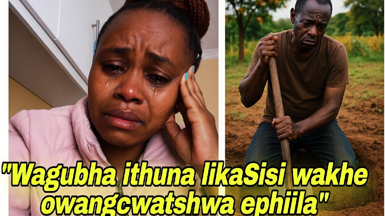Kyashaqisa uMfowabo Emba ithuna likaDadewabo wakhipha ibhokisi Ngoba besola Ukuth uyaphila