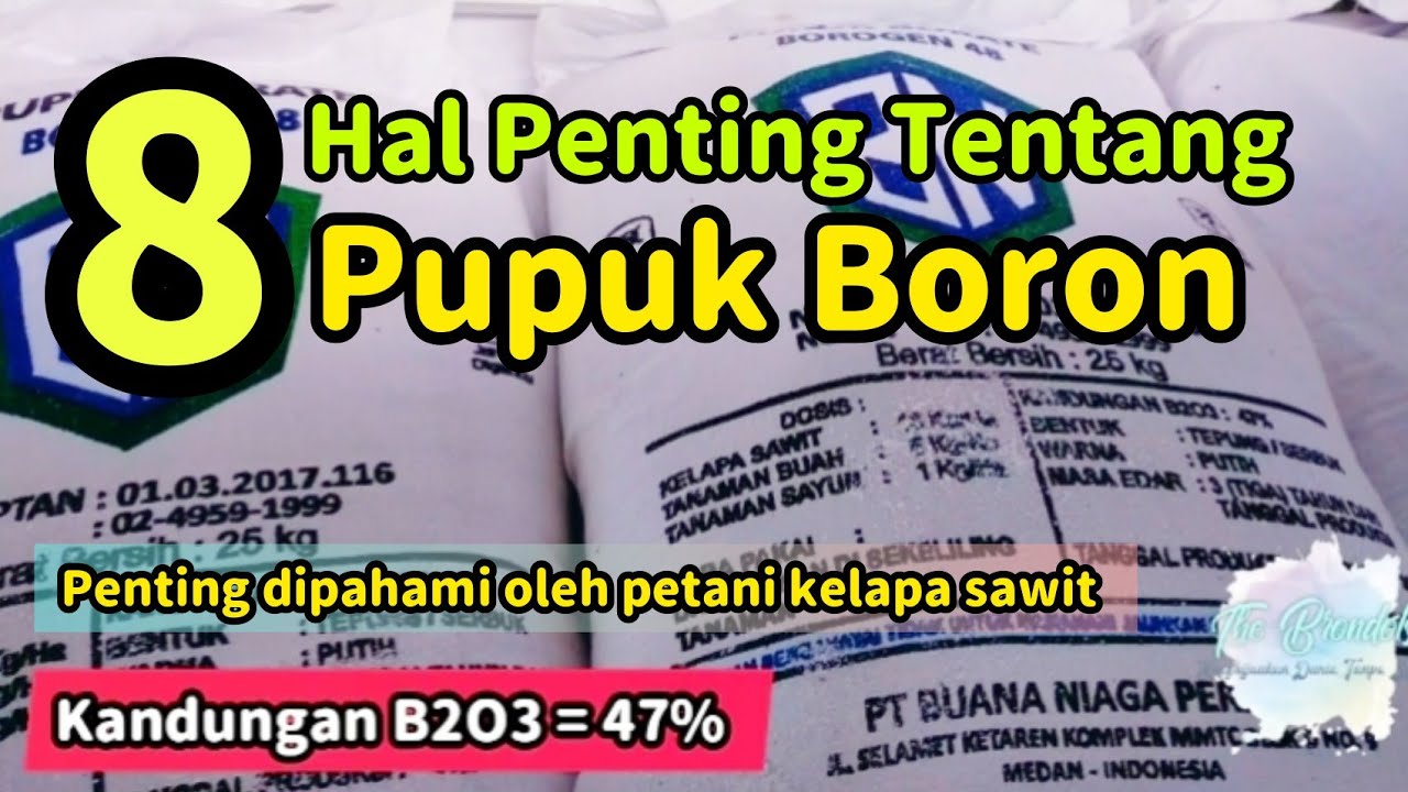 8 Hal Penting Tentang Pupuk Boron