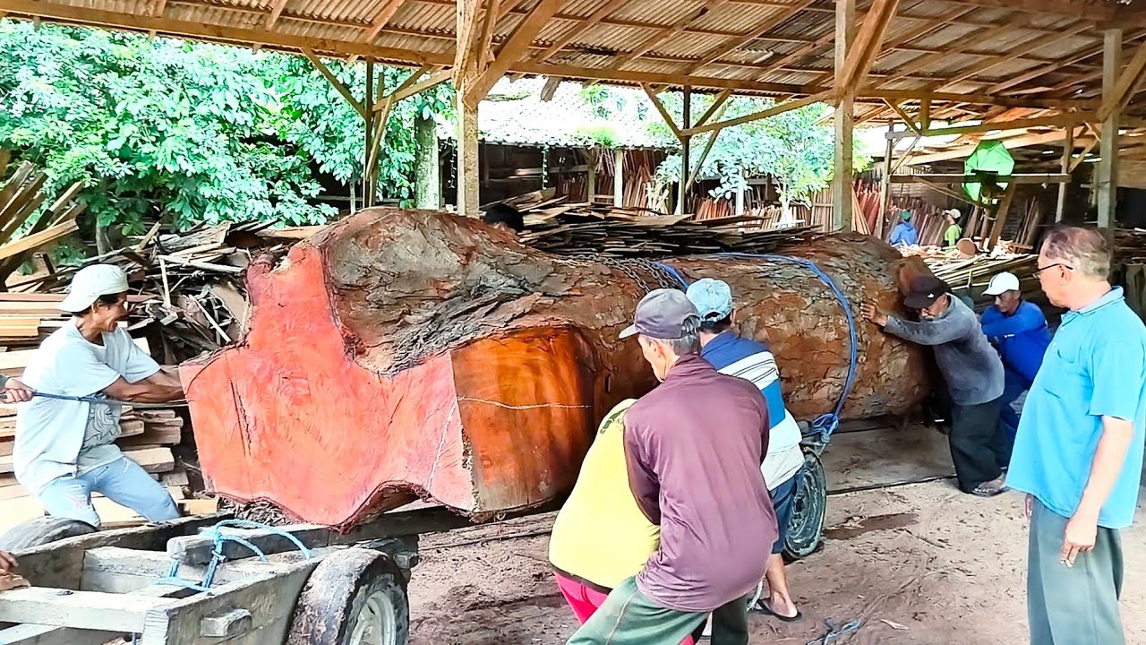 LUAR BIASA! Teknik penggergajian kayu raksasa di pabrik besar
