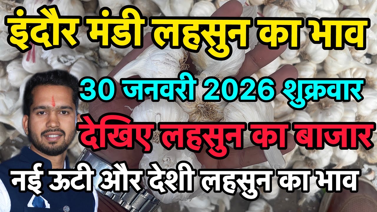 30 January 2026 इंदौर मंडी लहसुन का भाव 
