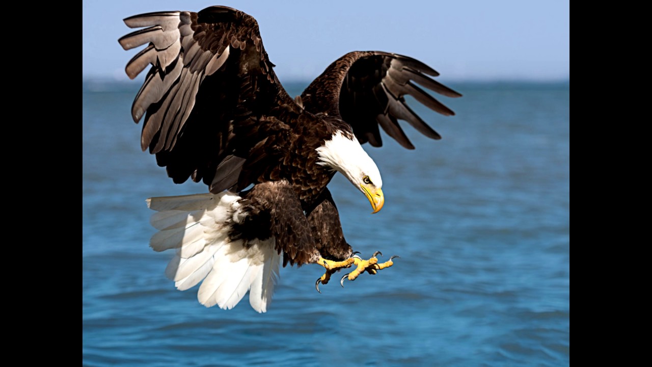 Sid Griffin - I Wish I Was A Mountain