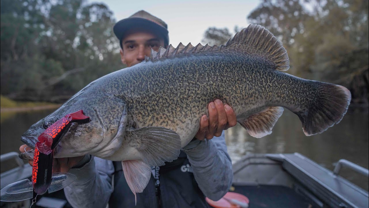 Living out of the tinny for a week on the river - Topwater MURRAY COD FISHING
