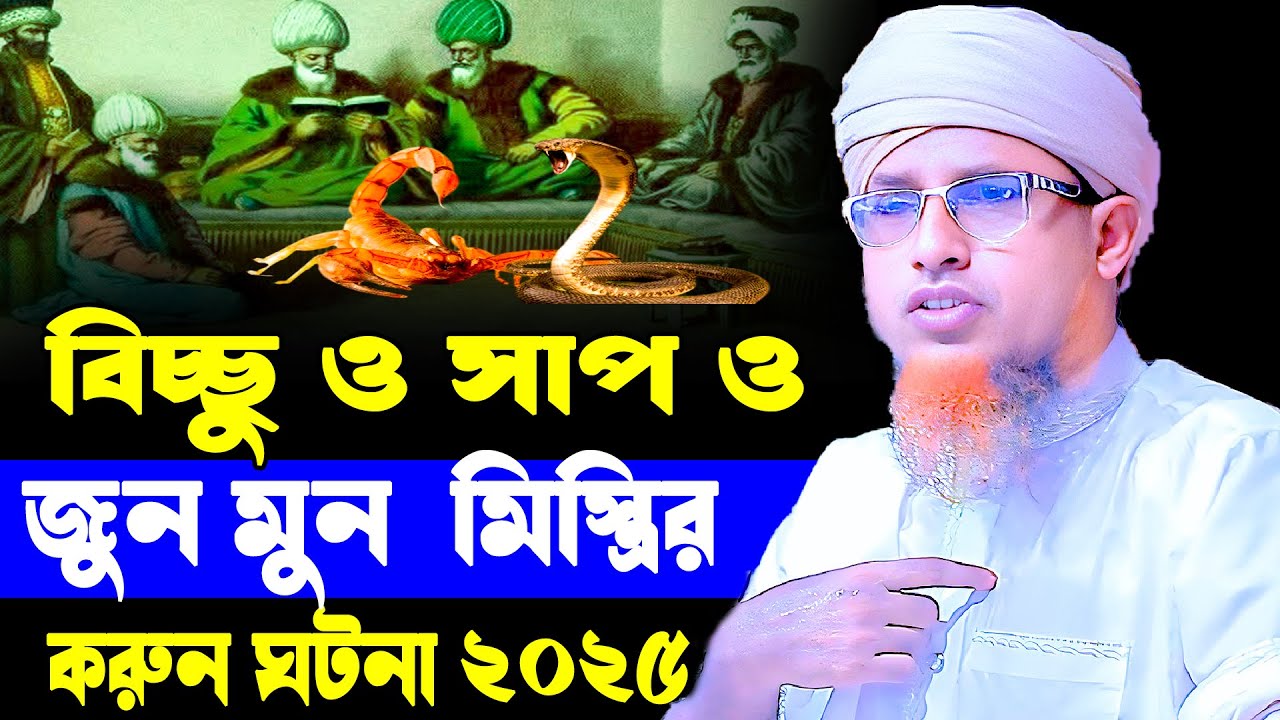 বিচ্ছু ও সাপ ও জুন মুন  মিস্ত্রির ক*রুন ঘটনা ২০২৫ মুফতি ওয়ালিউল্লাহ  Mufti Waliullah New Waz 2025