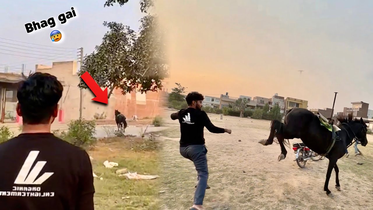 Hmari Horse Bhaag Gai😰