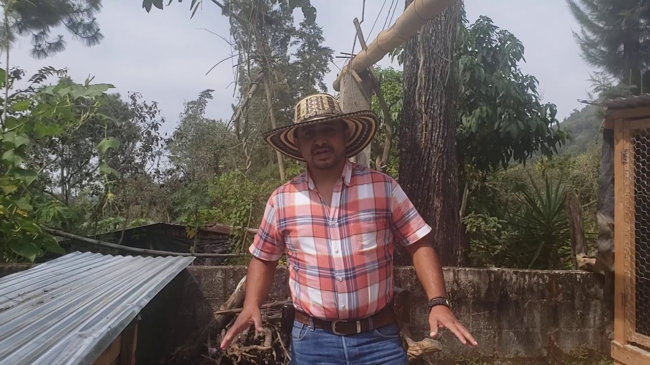 proceso de compost de gallinaza