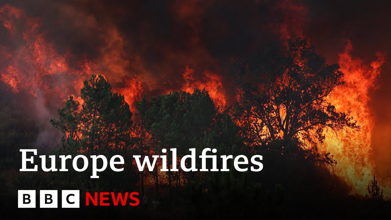 Wildfires rage across southern Europe | BBC News