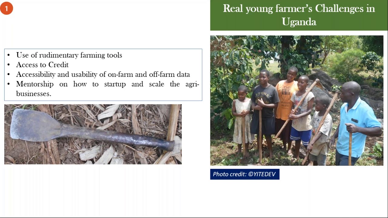 GODAN Webinar: Unlocking the potential of Open Data to promote Agribusiness for Youths in Africa