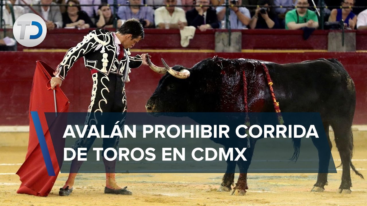 Comisi&oacute;n del Congreso aprueba prohibir corridas de toros en CdMx; iniciativa se llevar&aacute; al pleno