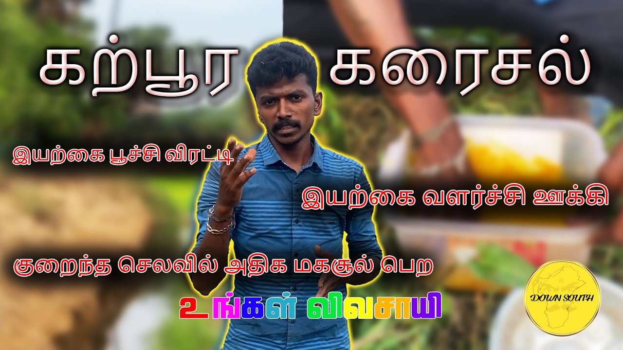 கற்பூர கரைசல் செய்முறை🌴 | உங்கள் விவசாயி | #farming #fertilizer