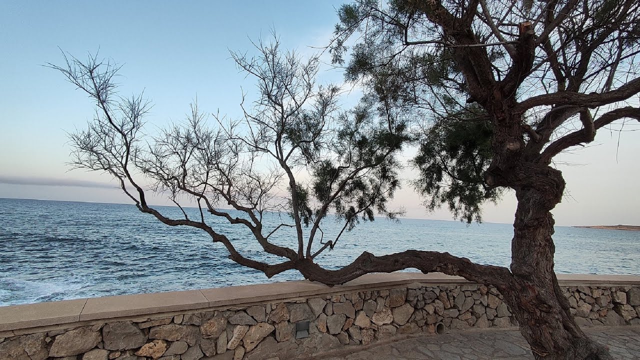 Cala Millor Mallorca 2024