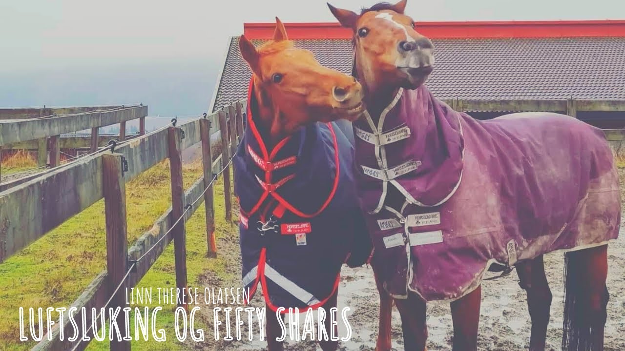 Linn Therese Olafsen vlog20 - Luftsluking og Fifty Shares
