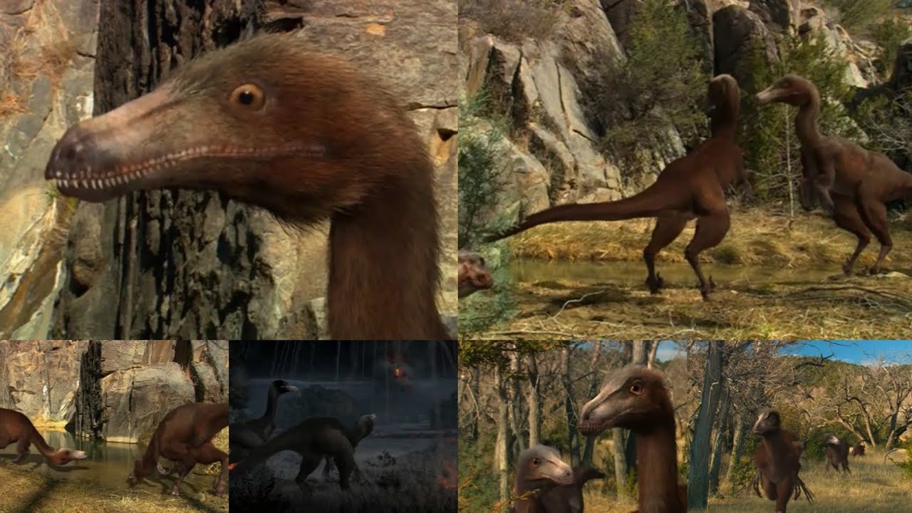 Dinosaur Planet [2003] - Troodons Screen Time 