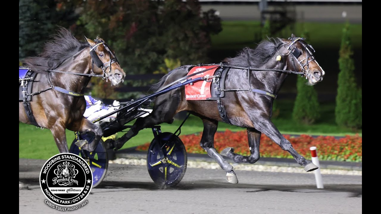 Meshuggah & Scott Zeron wins Breeders Crown Final 3YO C&G (C$822,000) in 1.50,1 at Mohawk Park.