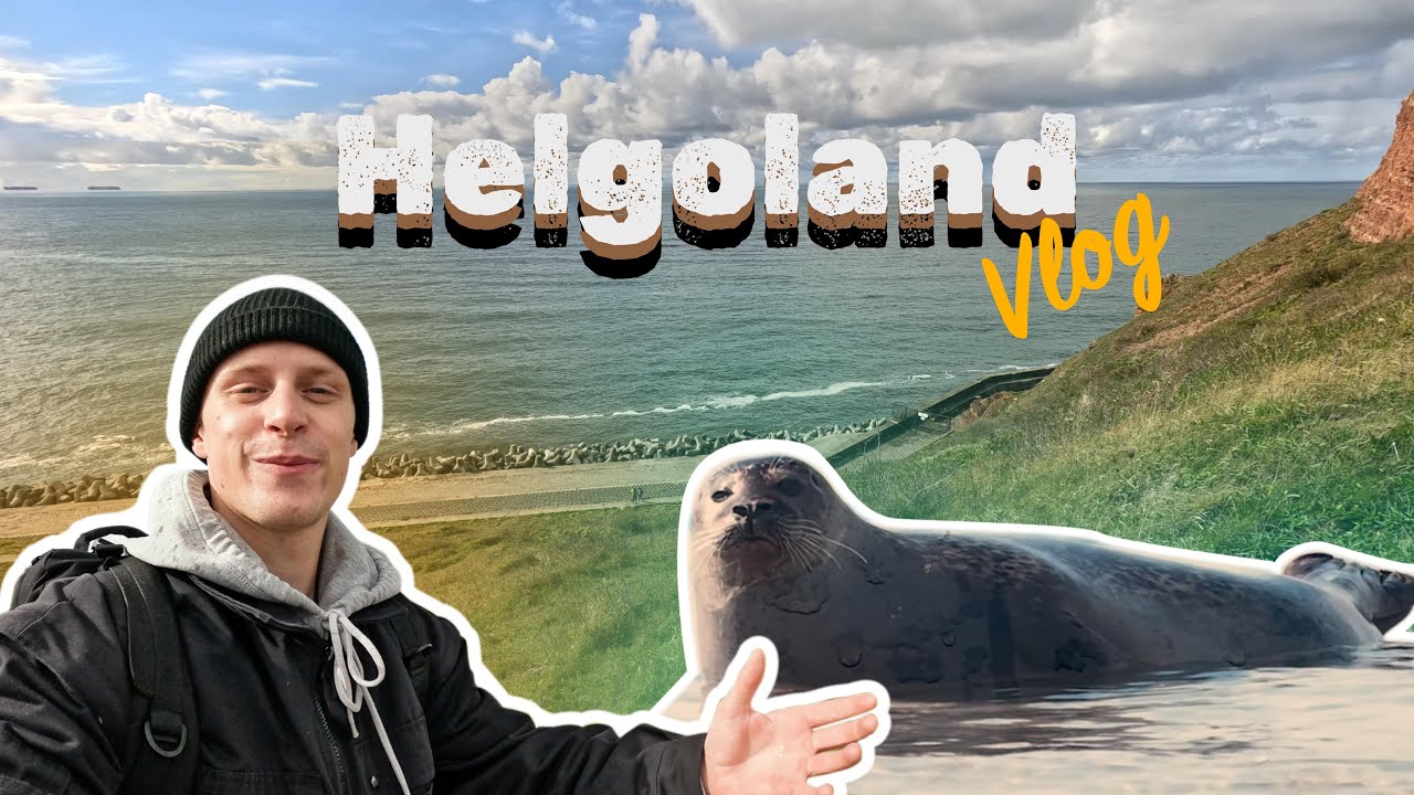 Robbensuche auf Helgoland -Joris VLOG