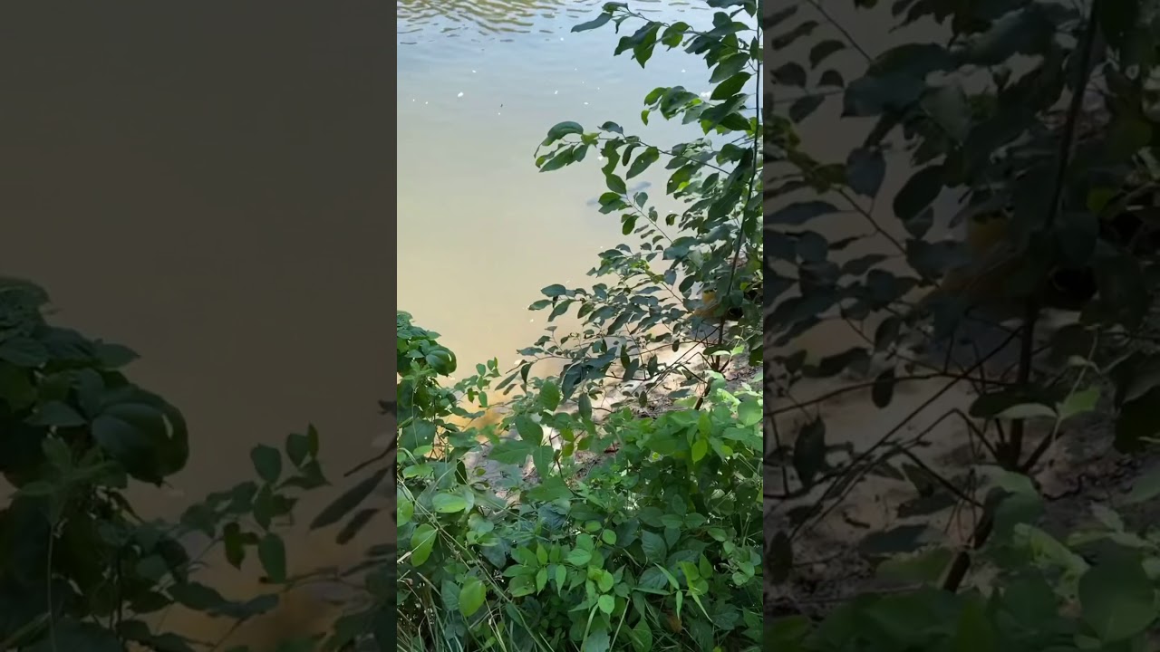 Clayton Riverwalk - Clayton, NC