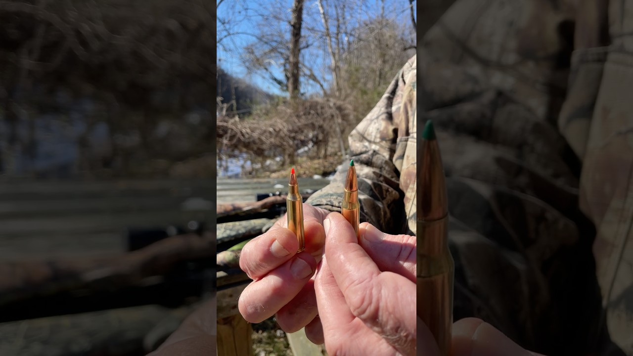 Will the 308 or the 22 250 Rem BUST THRU these railroad ties?! #outdoors #gunculture #guncommunity