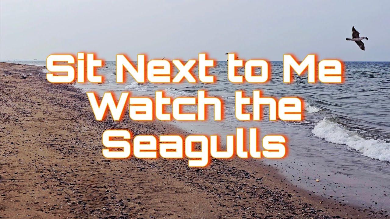 Seagulls & Ocean Waves in Stunning 4K 60FPS | 6 Minutes of Pure Coastal Relaxation 🌊