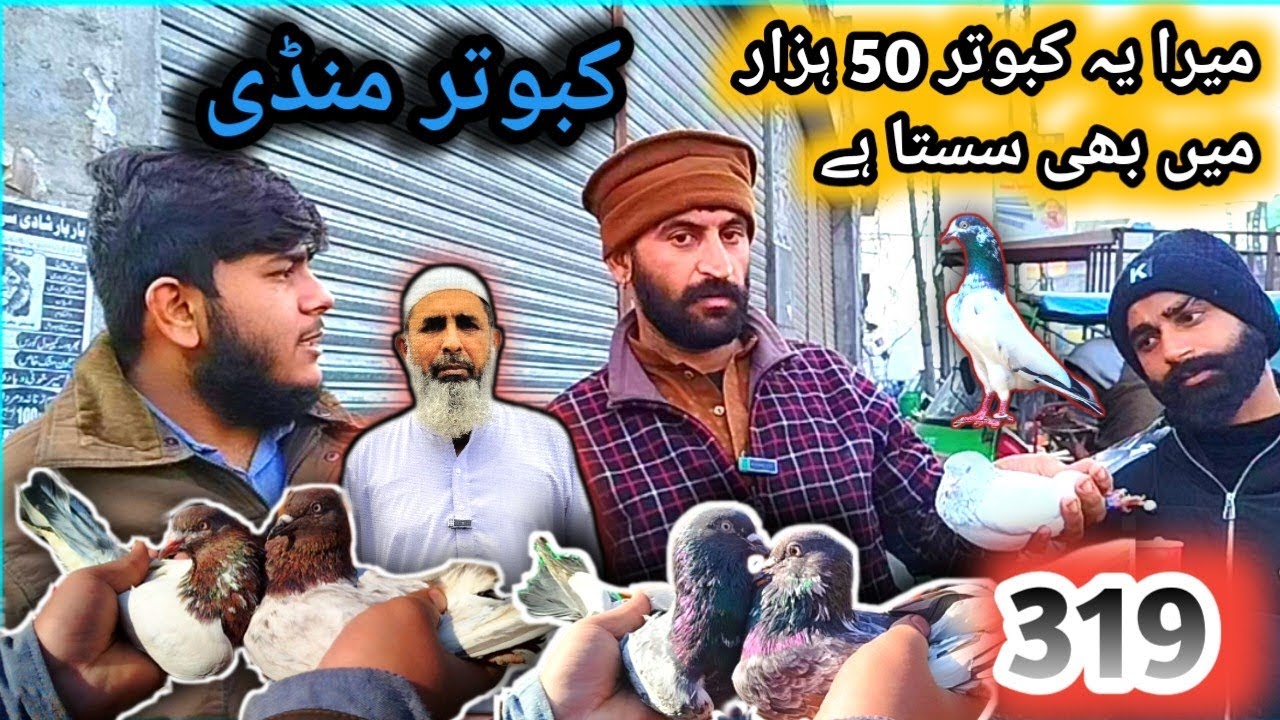 319) Lahore lari ada kabootar mandi || کبوتر منڈی || @amjadaliofficial528