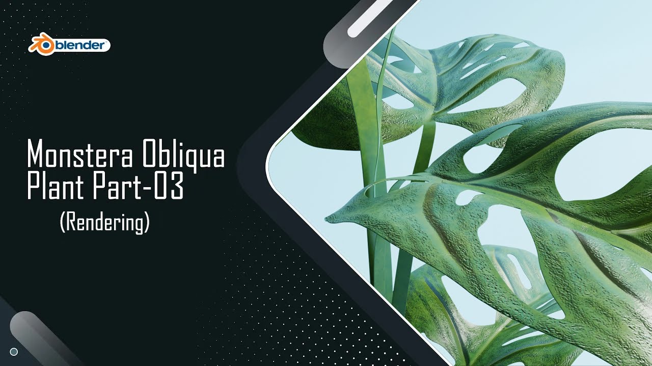Blender Tutorial | Monstera Obliqua Plant Part-03 | Rendering | Step-by-Step Guideline