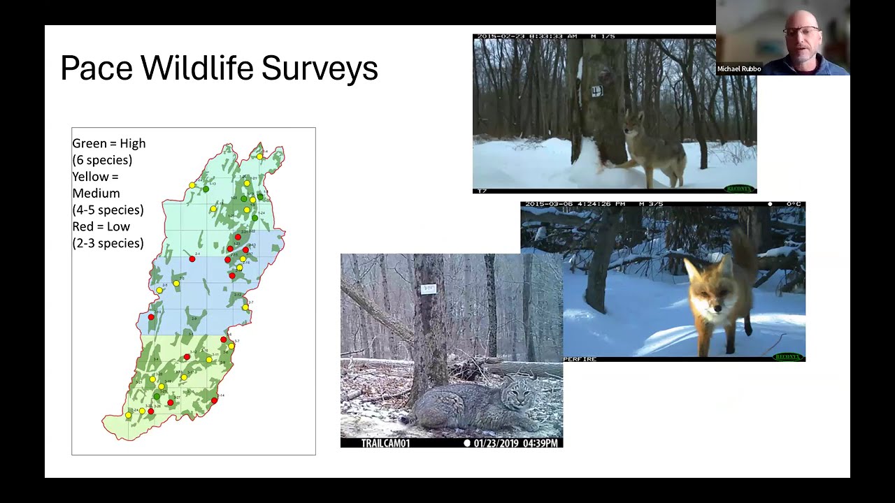 Breakfast Webinar: A Student-Led Characterization of the Pocantico River Watershed