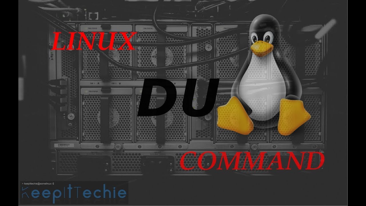 DU | View Disk Usage of Files and Directories in Linux