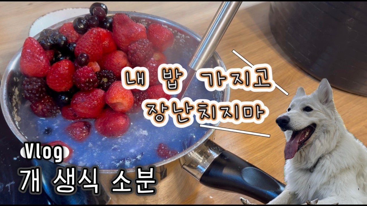 솔직히 너무 귀찮은 생식 소분 🥩🐶 #개밥