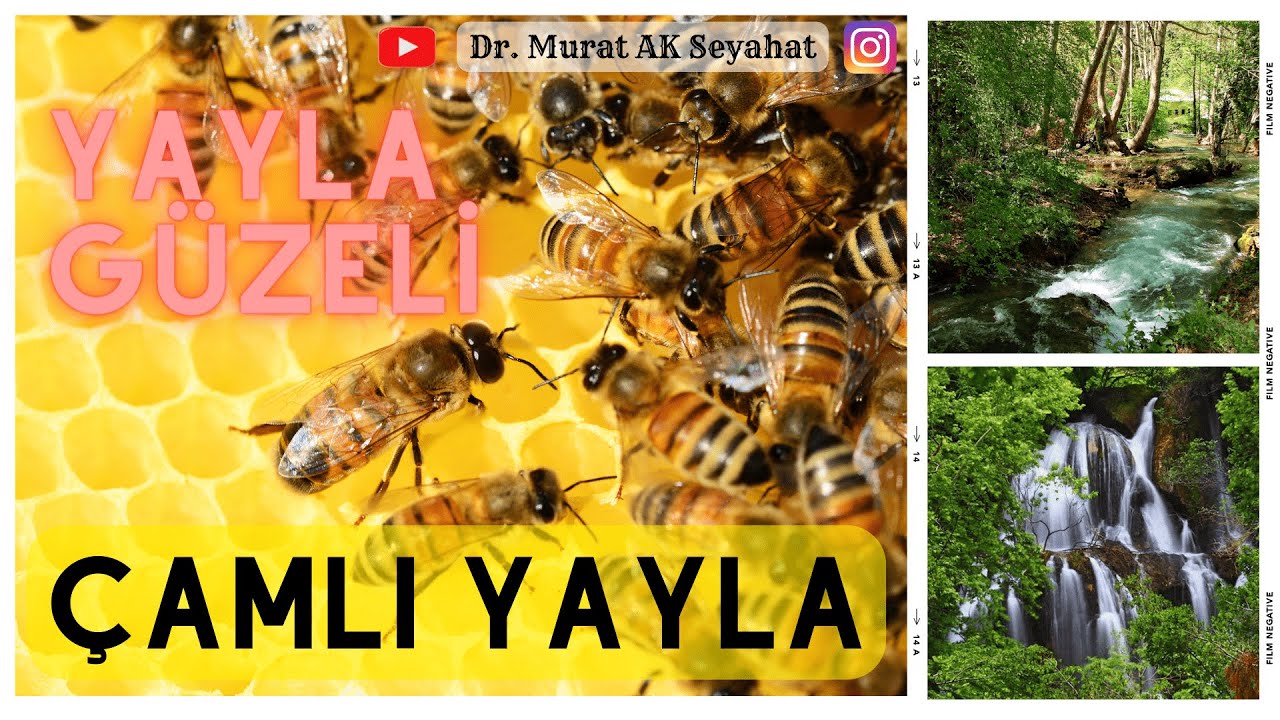 Yayla Güzeli: Çamlıyayla #çamlıyayla #mersin #camliyayla Çamlıyayla'da Gezilecek Yerler